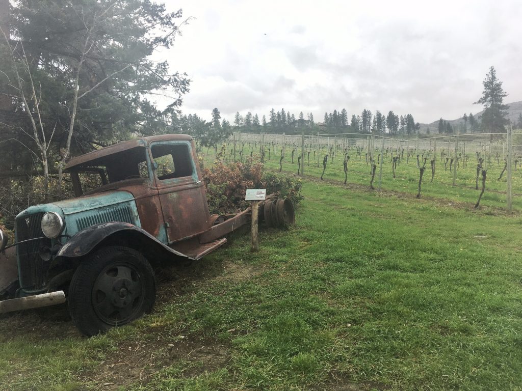St. Hubertus & Oak Bay vineyards