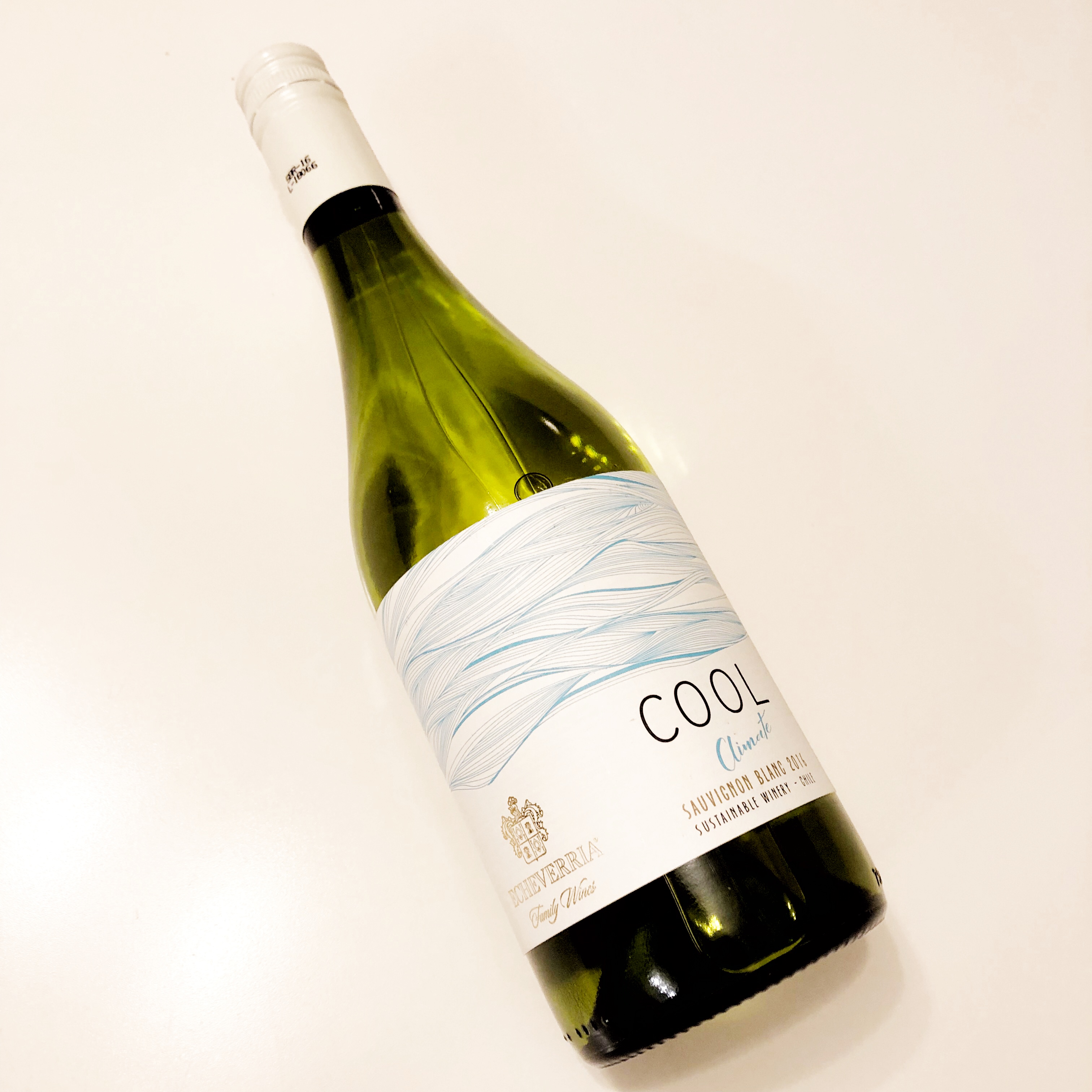 Vina Echeverria Cool Climate Sauvignon Blanc