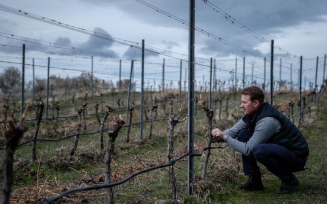 Inside 1 Mill Road’s Cross-Border Wine Chapter